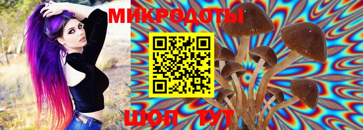 Клин  Галлюциногенные грибы мицелий  Вход с VPN 